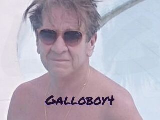 Galloboy4