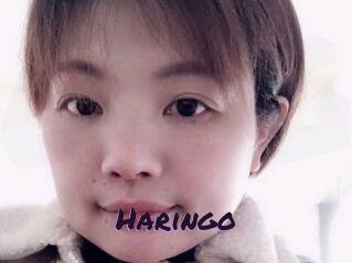 Haringo