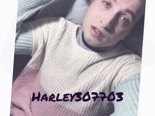 Harley307703