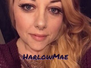 HarlowMae