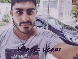 Harold_horny