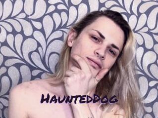 HauntedDog