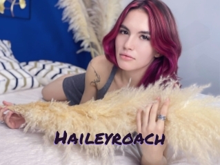 Haileyroach