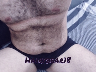 Hairybear18
