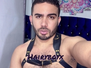 hairyboyx Le Cul Gratuit