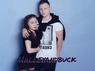 Halleyandbuck