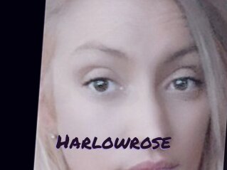 Harlowrose