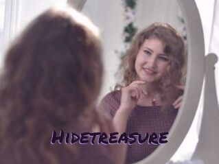 Hidetreasure