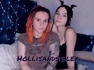 Hollisandsibley