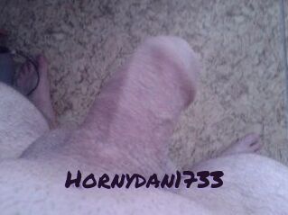 Hornydan1733