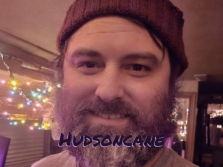 Hudsoncane