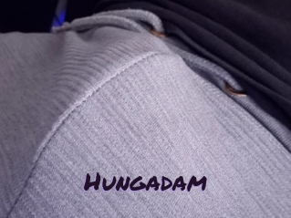 hungadam Le Cul Gratuit