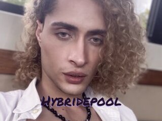Hybridepool