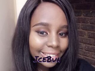 IceBun