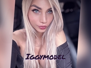 Iggymodel