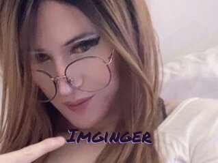 Imginger