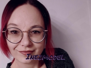 Inezmodel