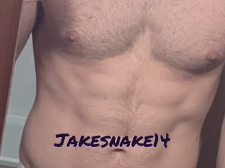Jakesnake14