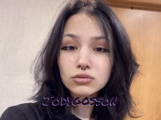 Jodygosson