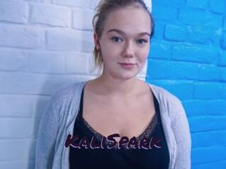 KaliSpark