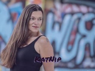 KatNip