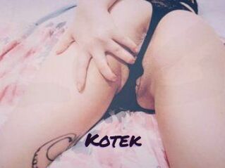 Kotek