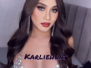 karliehunt Le Cul Gratuit