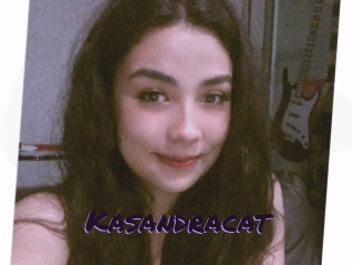 Kasandracat