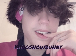Kingsnowbunny