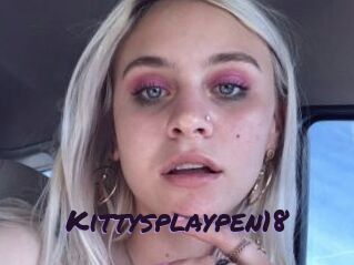 Kittysplaypen18