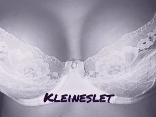 Kleineslet