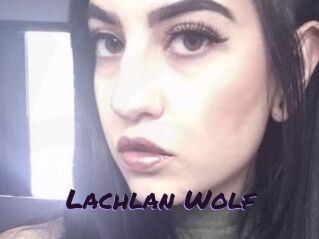 Lachlan_Wolf
