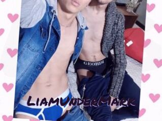 LiamUnderMark