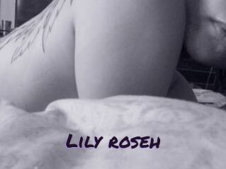 Lily_roseh