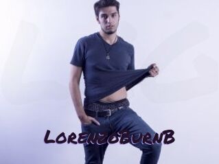 LorenzoBurnB