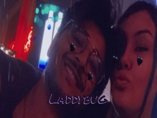 Laddybug