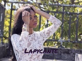 Lapycante