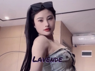 Lavende