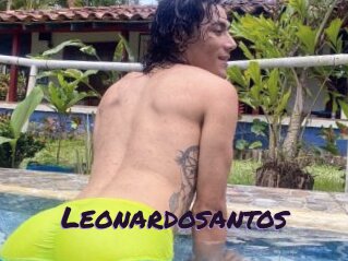 Leonardosantos