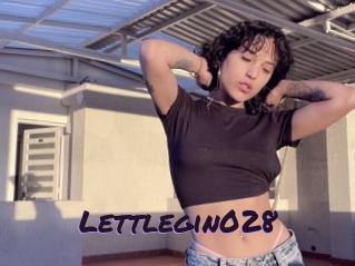 Lettlegin028