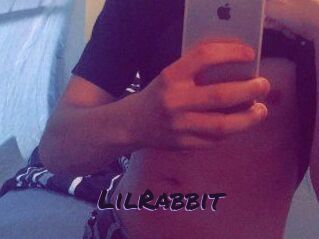 LilRabbit