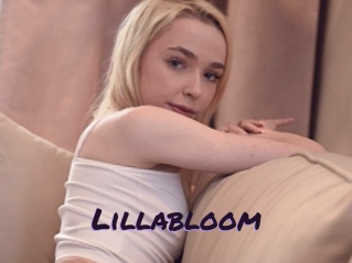 Lillabloom