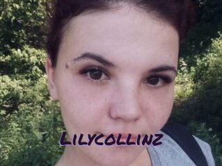 Lilycollinz