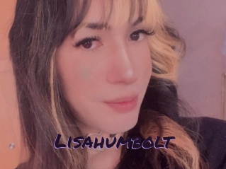Lisahumbolt