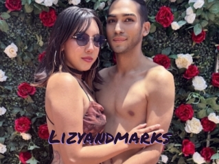 Lizyandmarks