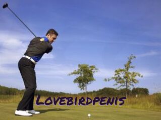 Lovebirdpenis