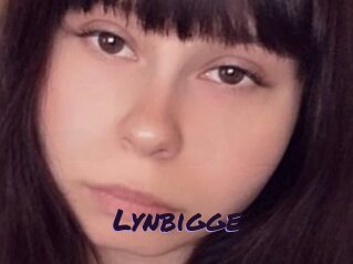 Lynbigge