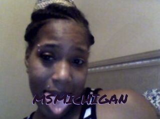 MSMICHIGAN