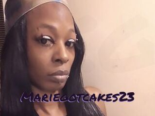 Mariegotcakes23