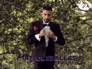 MateoCeballos